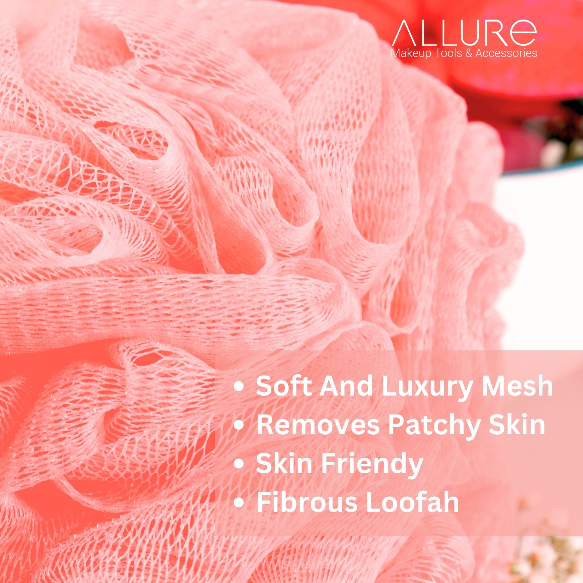 Metallic Bath Brush & Loofah Set - Color May Vary