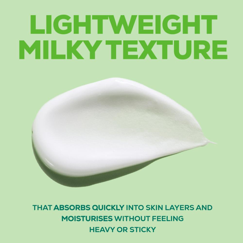 Pure Aloe Vera Body Lotion, Lightweight 48hr Moisturization for Normal & Oily Winter Skin