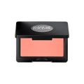 Artist Face Powder Blush
