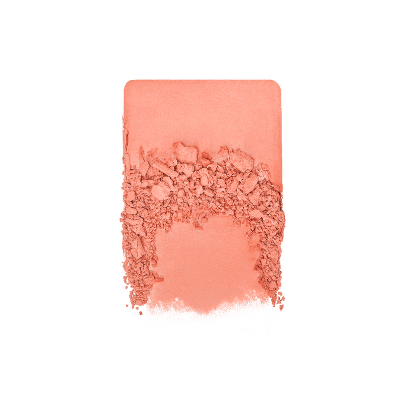 Artist Face Powder Blush