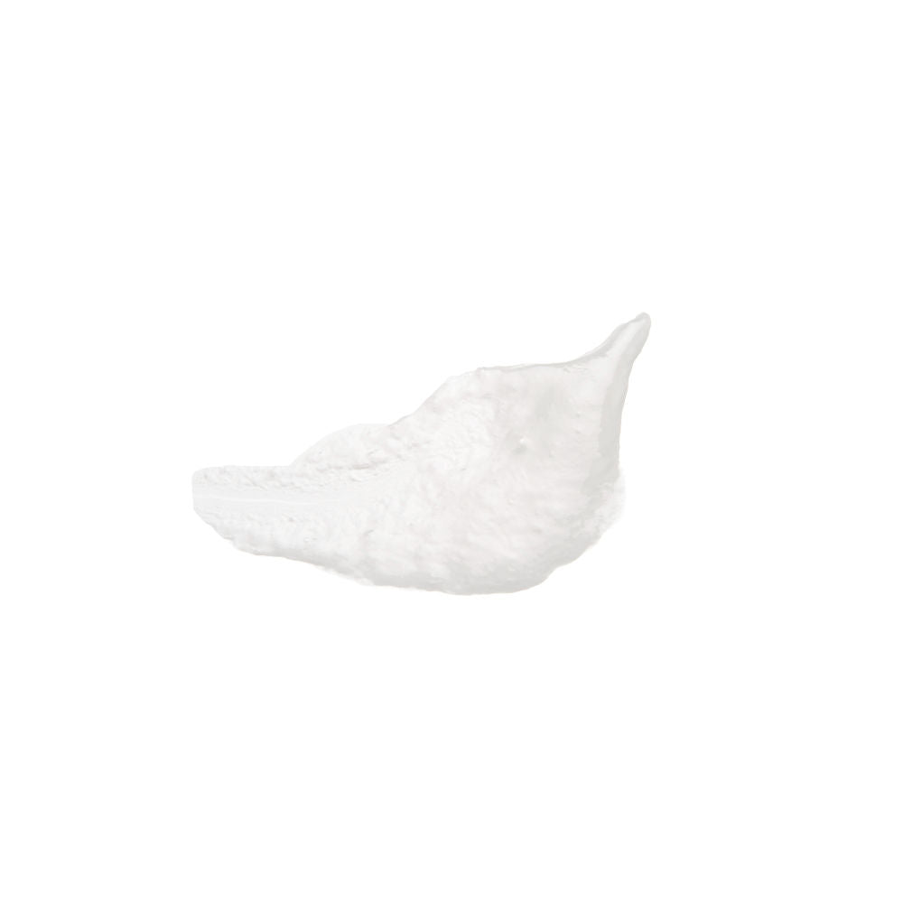 Apple Aha Exfoliating Cleanser