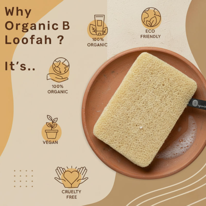 Natural & Effective Sundried Three Shaped Loofah