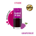 Dear Darling Water Gel Lip and Cheek Tint Lipstick