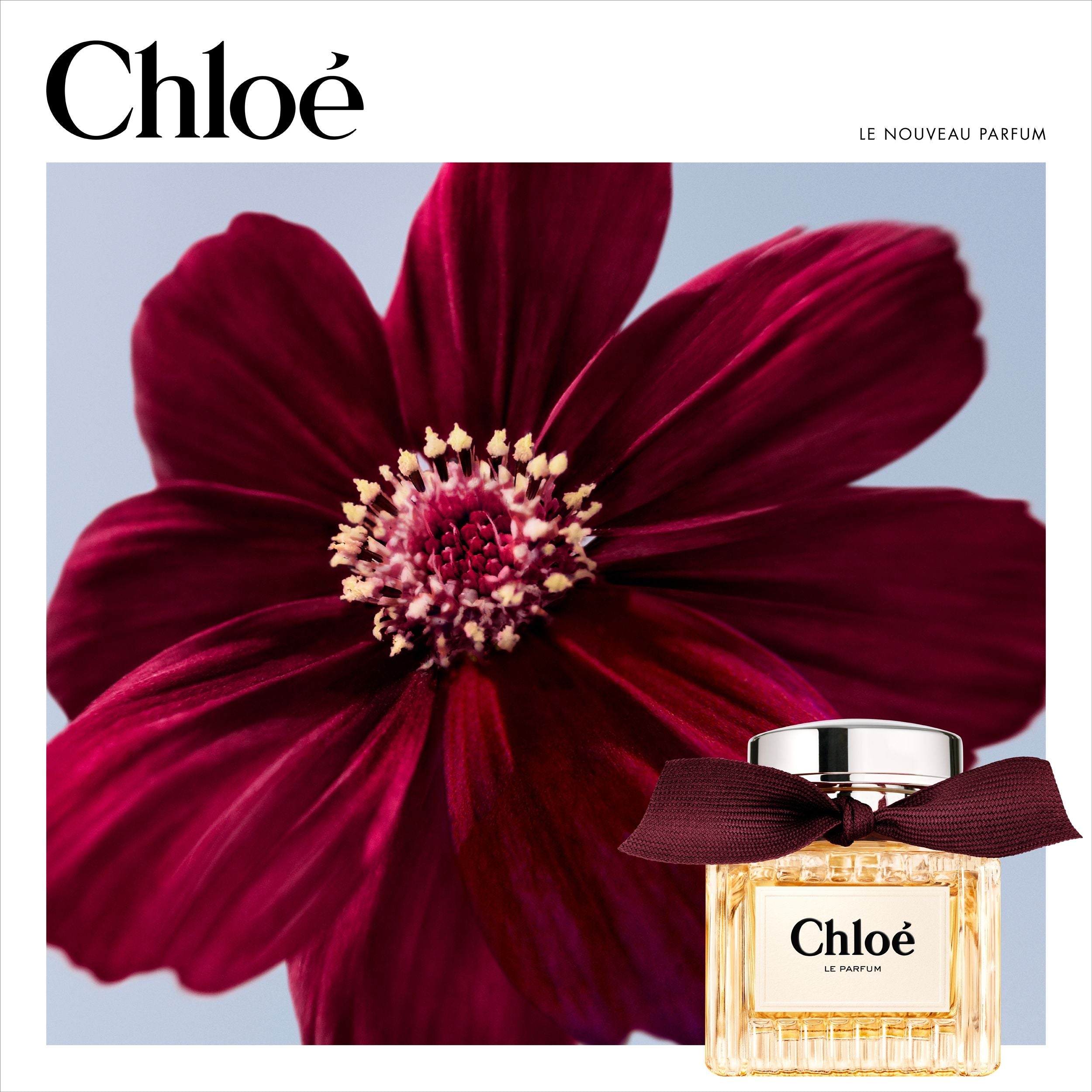 Le Parfum