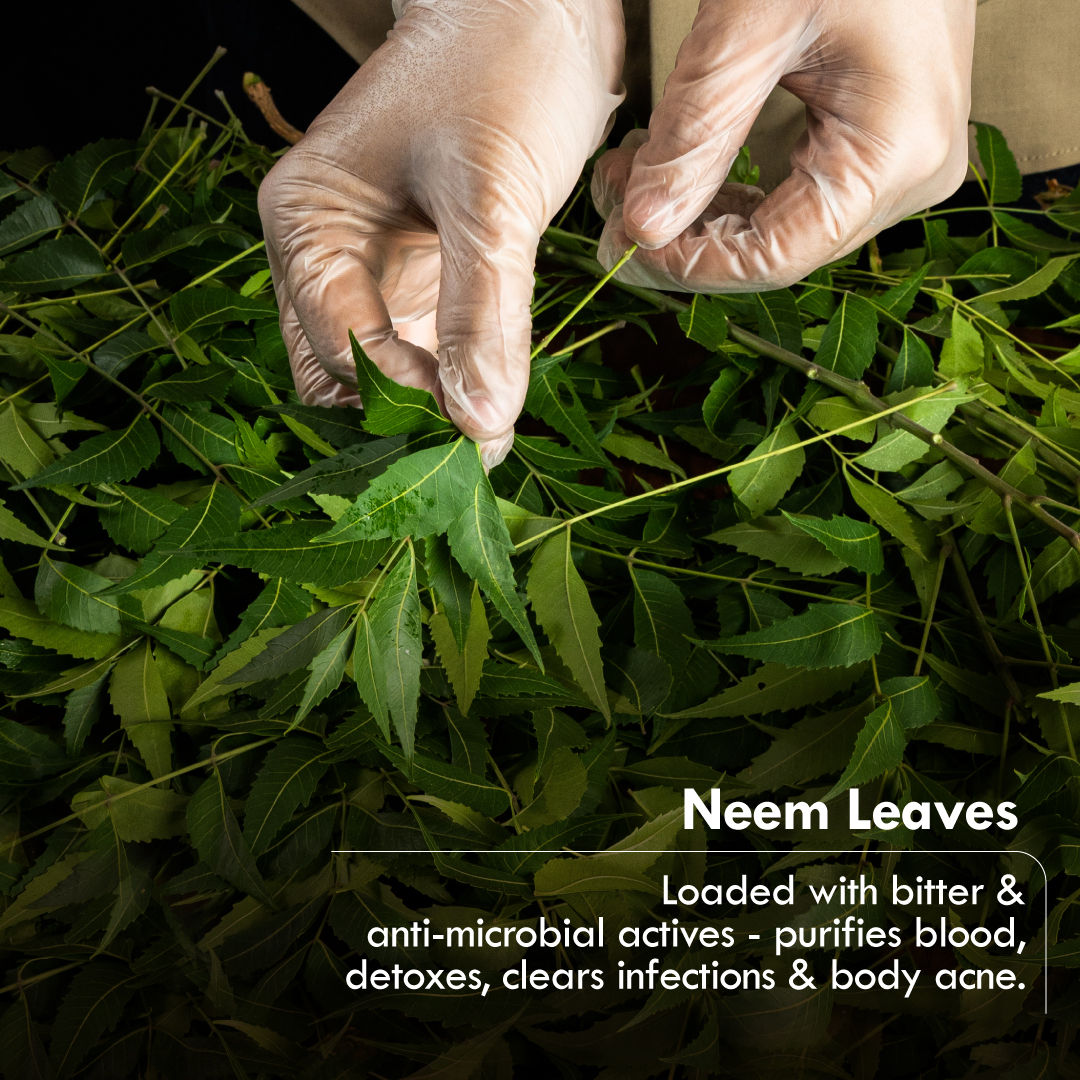 Cold Processed Neem Basil Butter Bath Soap- Antibacterial, Dark Spots, De-Tan & Handmade