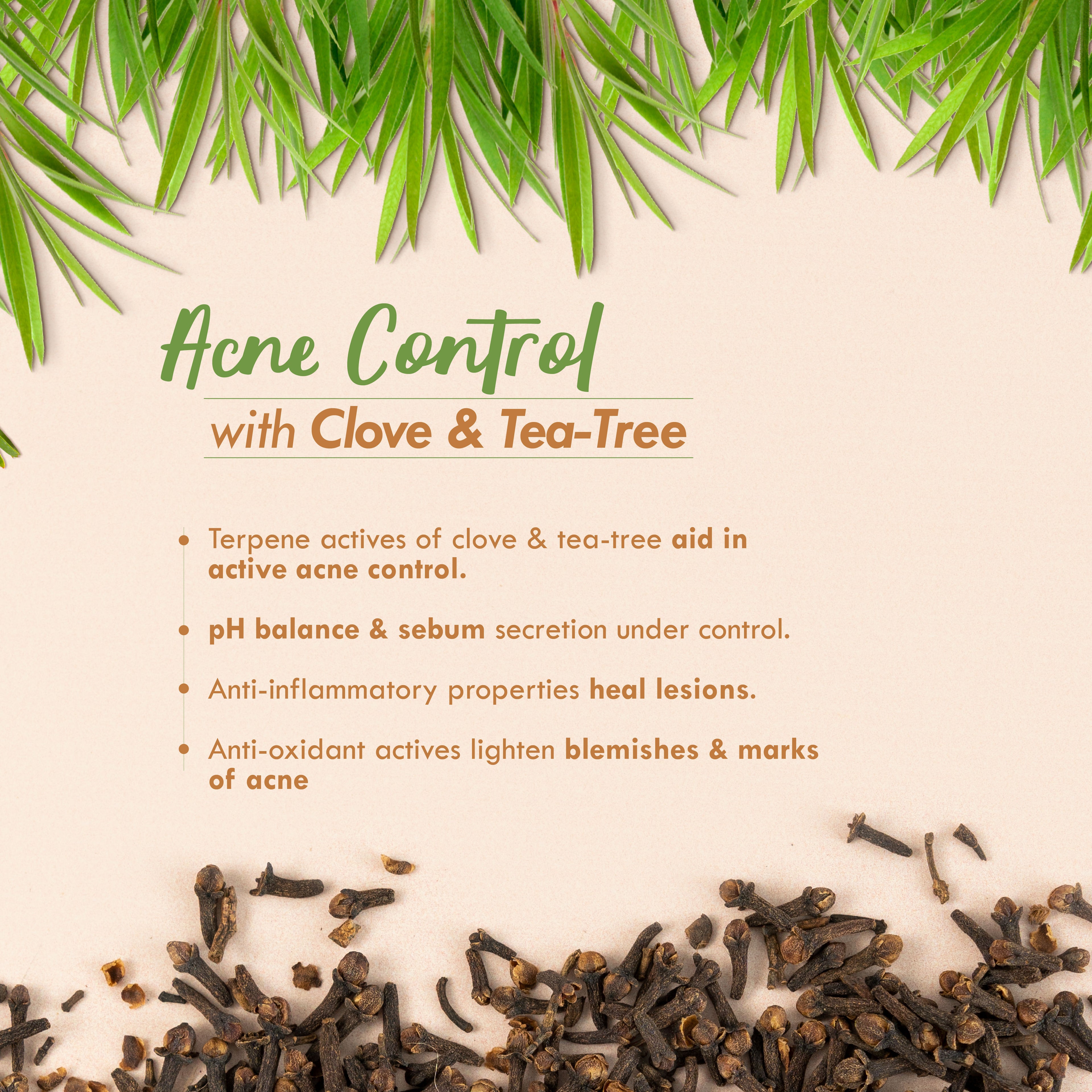 Clove Tea-Tree Terpene+ Light Moisturizer, Anti Acne Face Cream, Non Sticky Moisturizer