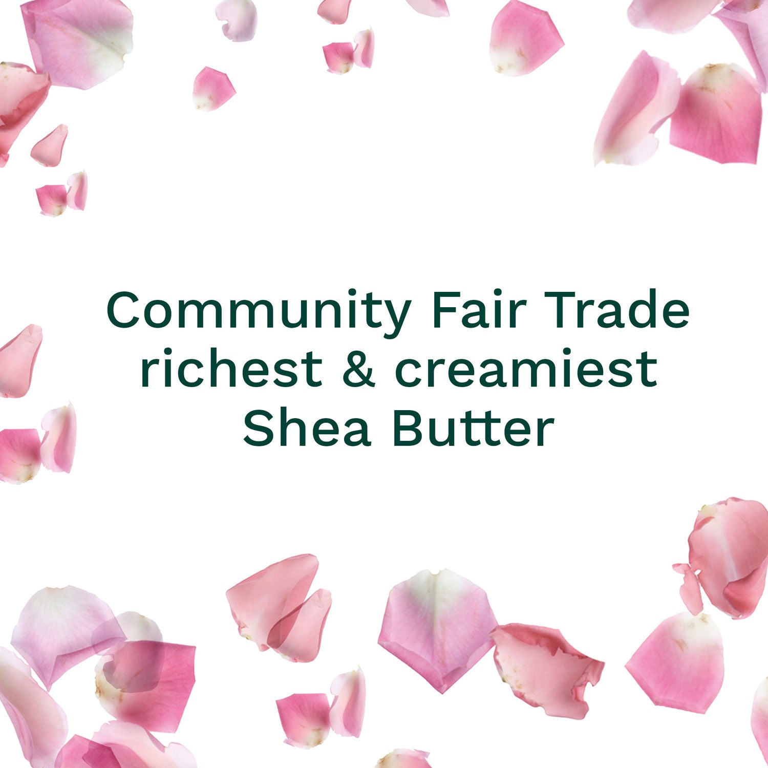 British Rose Body Butter