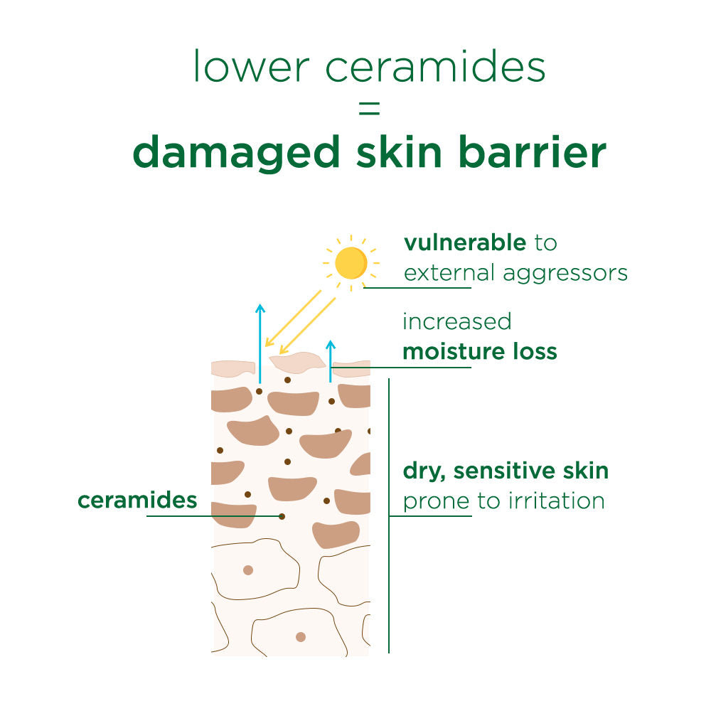 Barrier Repair Soothing Water Creme With 6% Ceramide Boosters And Aloe Vera