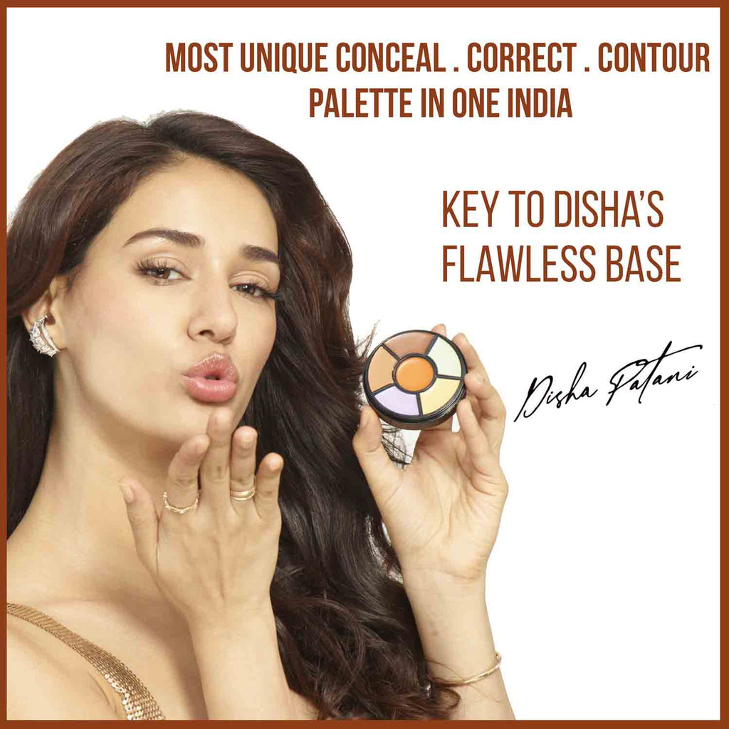 Pro Concealer Palette, 3 In 1 Conceal,Contour & Correct, Long Lasting & Waterproof - Concealer