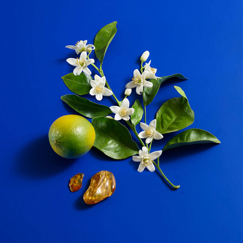 Sisterland Blue Neroli Eau de Toilette
