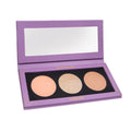 Richness 3C Palette All-In-One Blusher Contour Highlighter Finishing Powder