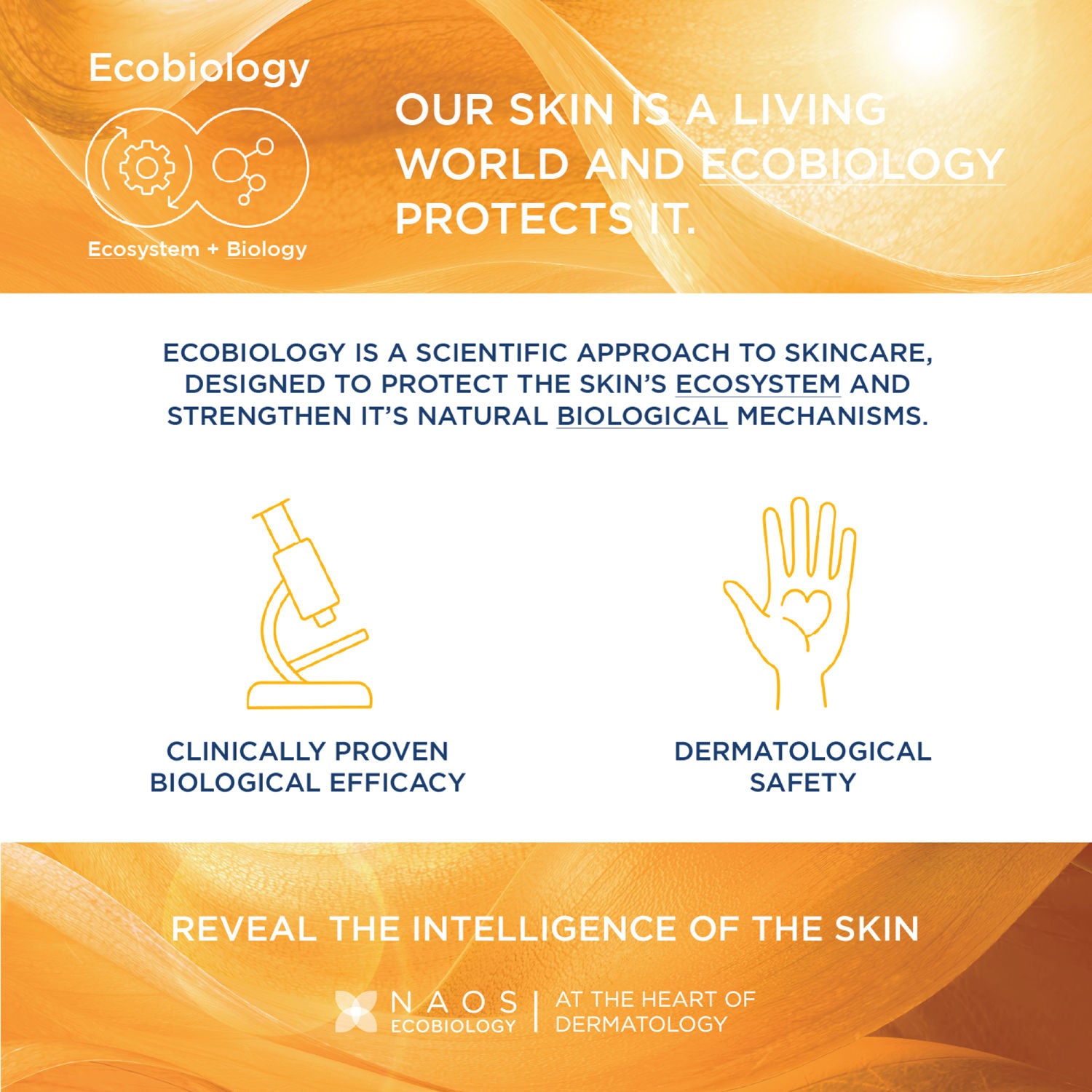 Photoderm Aquafluide Claire SPF 50+ PA+++ Tinted Sunscreen for All Skin Types|In Vivo Tested