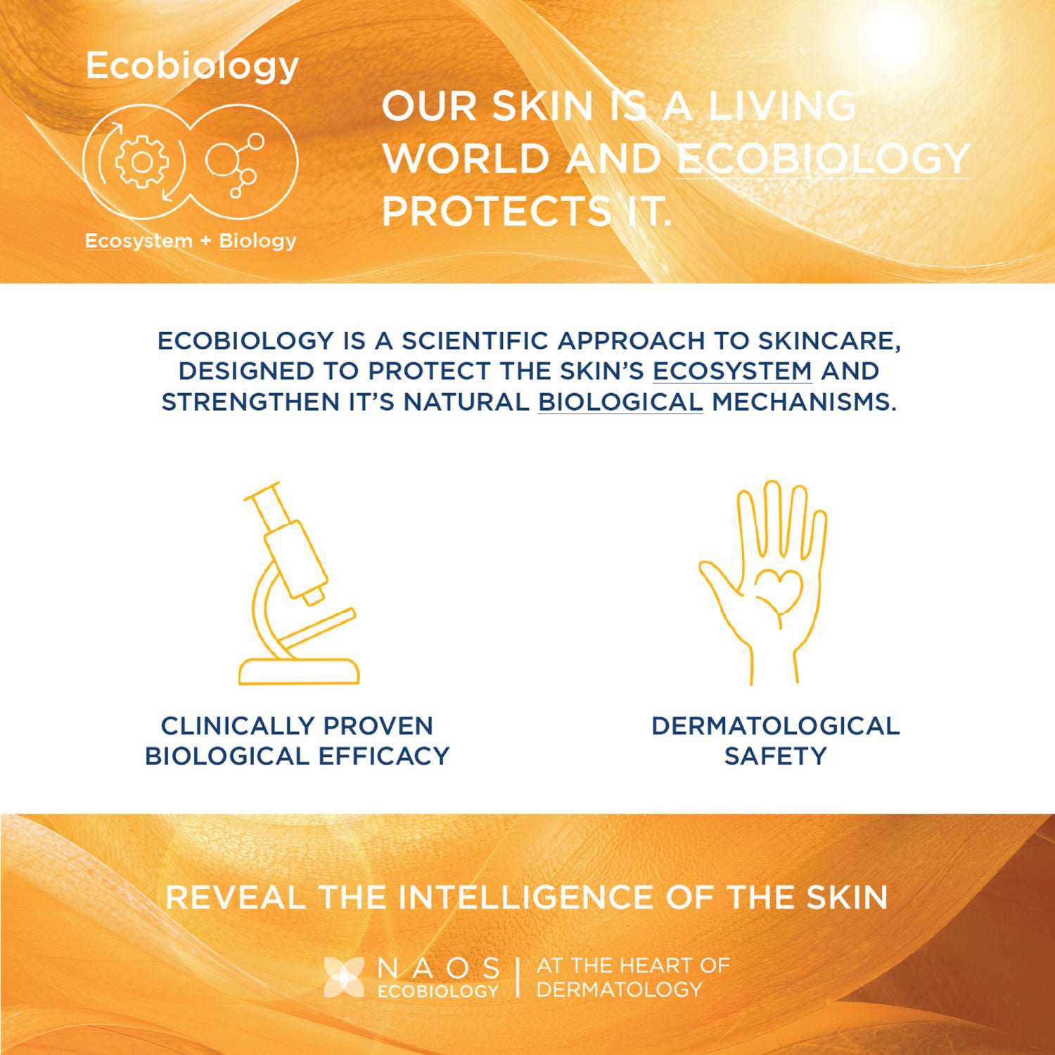 Photoderm Spot-Age SPF 50+ PA++++ Anti-Ageing Sunscreen for Dark Spots | In Vivo Tested