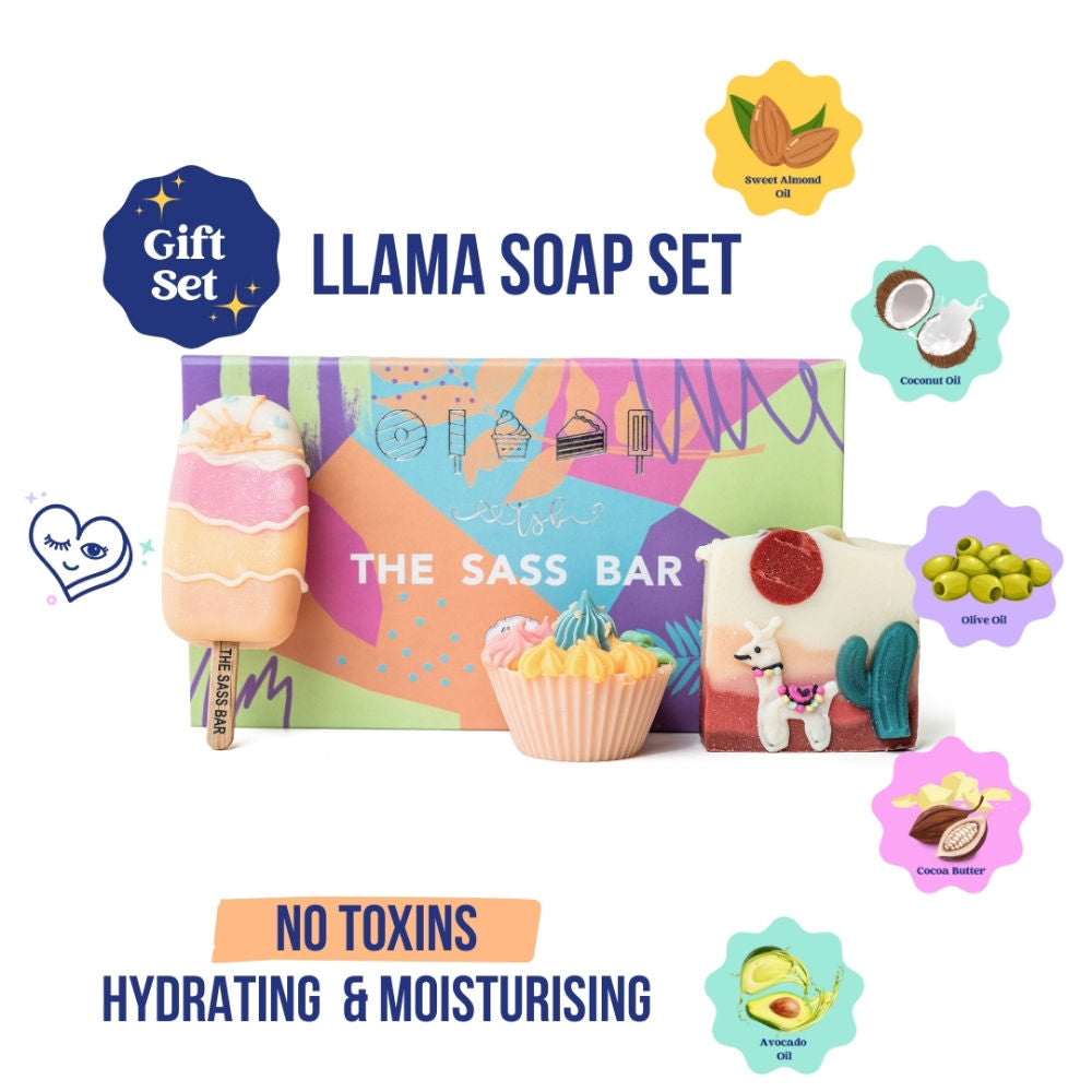 Llama Desert Soap Box