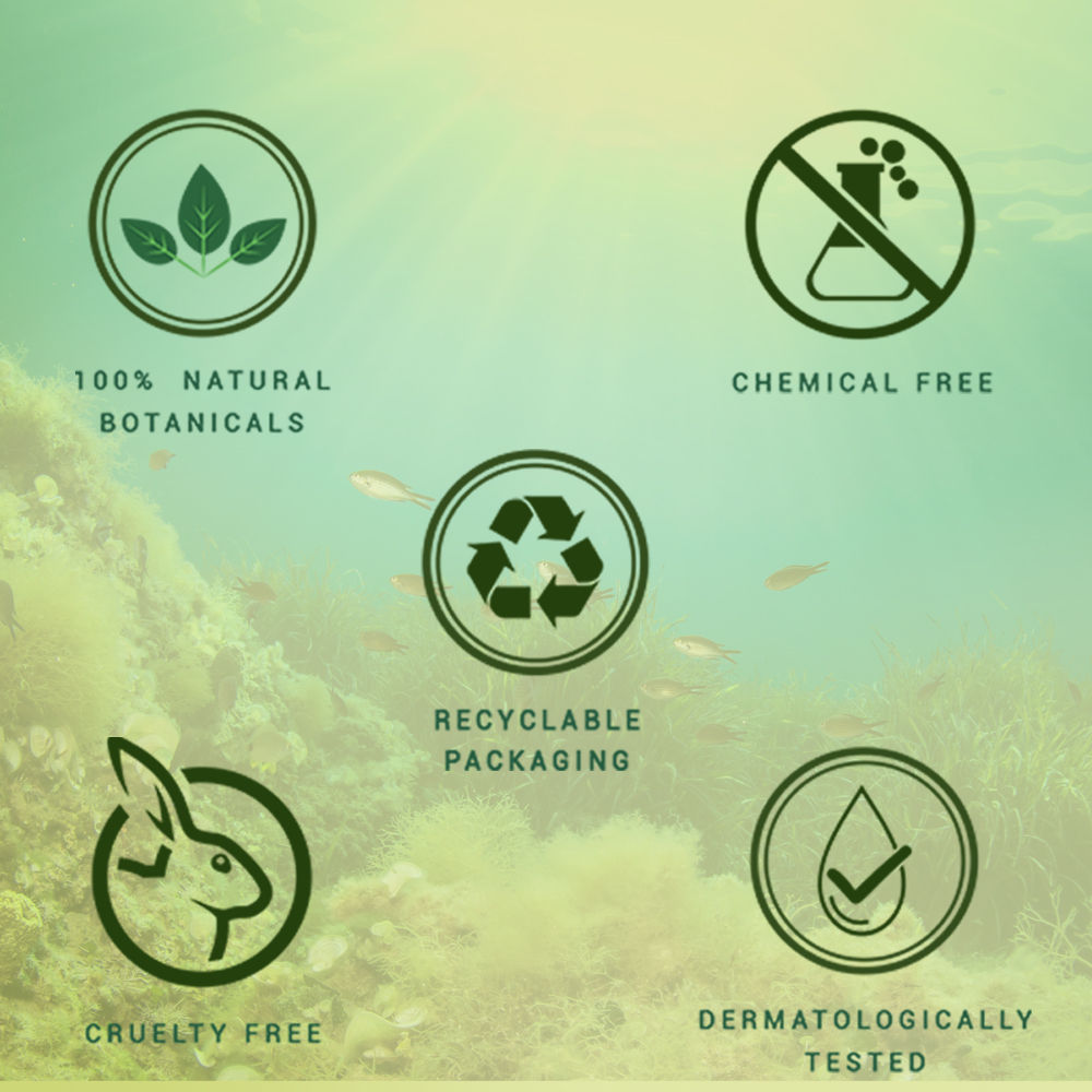 Bio Sea Weed Cooling Anti Fatigue Eye Gel