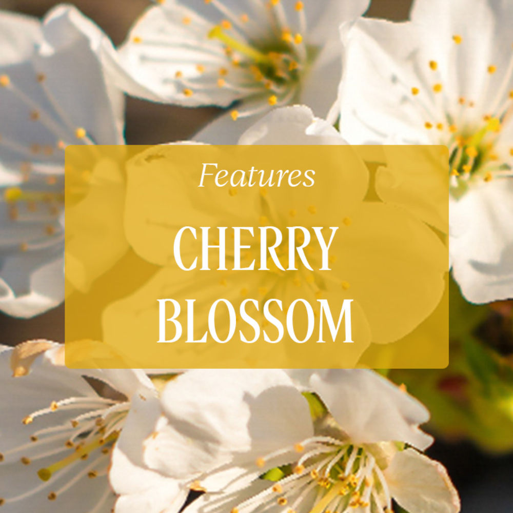 Fleurs De Cerisier Perfumed Hand Soap (Cherry Blossom)