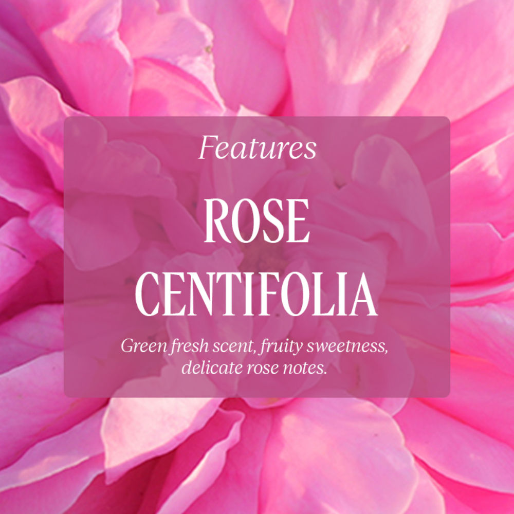 Rose Perfumed Shower Gel