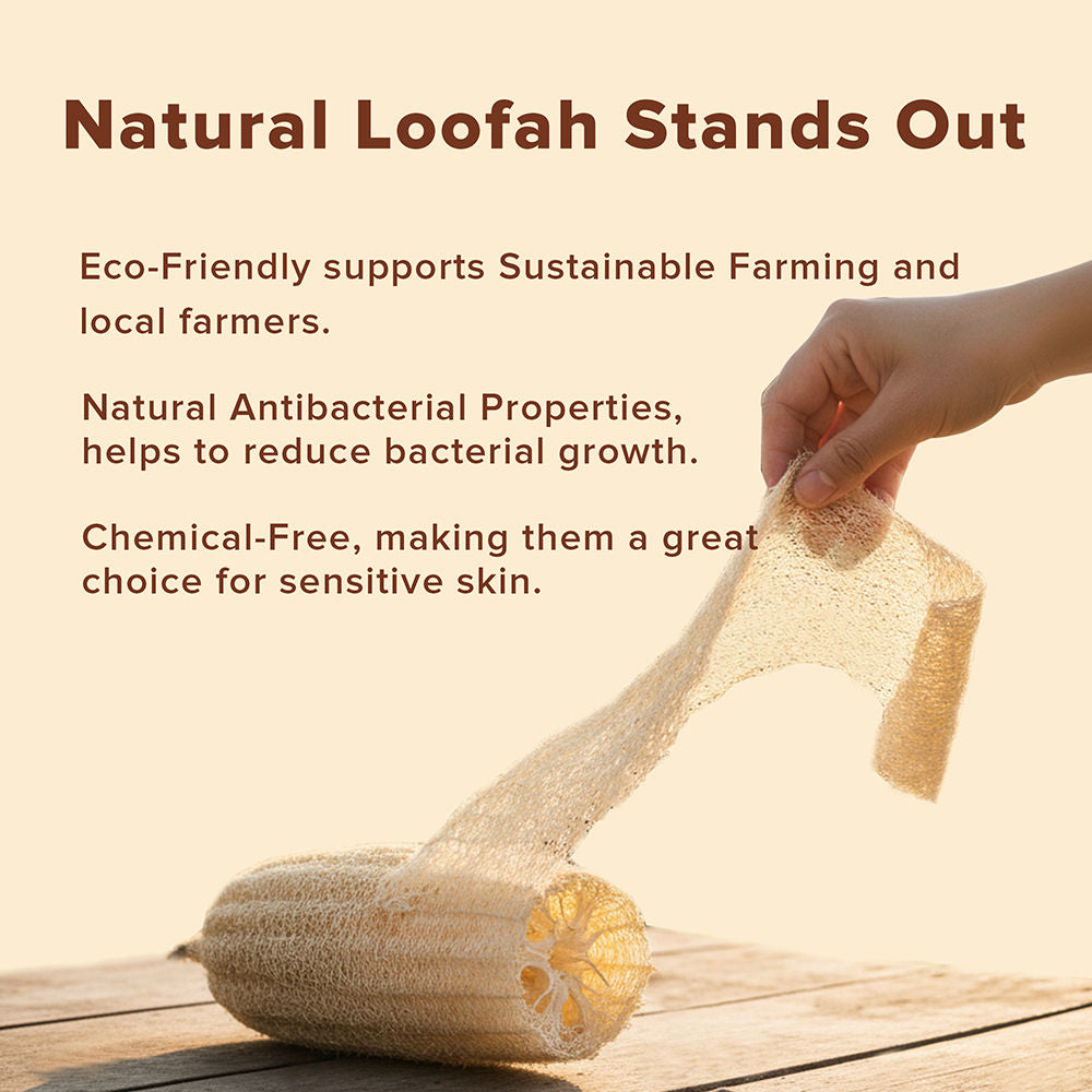 Natural Sun Dried Bath Loofah Round in a Gift Bag Body Scrubber Women & Men