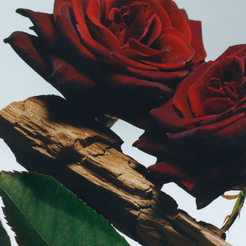 Velvet Rose & Oud Cologne Intense
