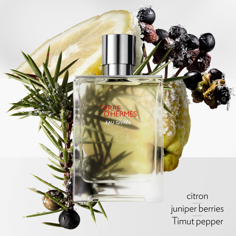 Hermès Terre d’Hermès Eau Givrée, Eau de Parfum