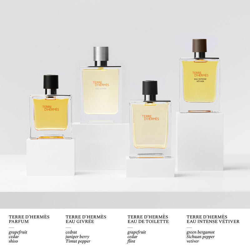 Hermès Terre d’Hermès Eau Givrée, Eau de Parfum