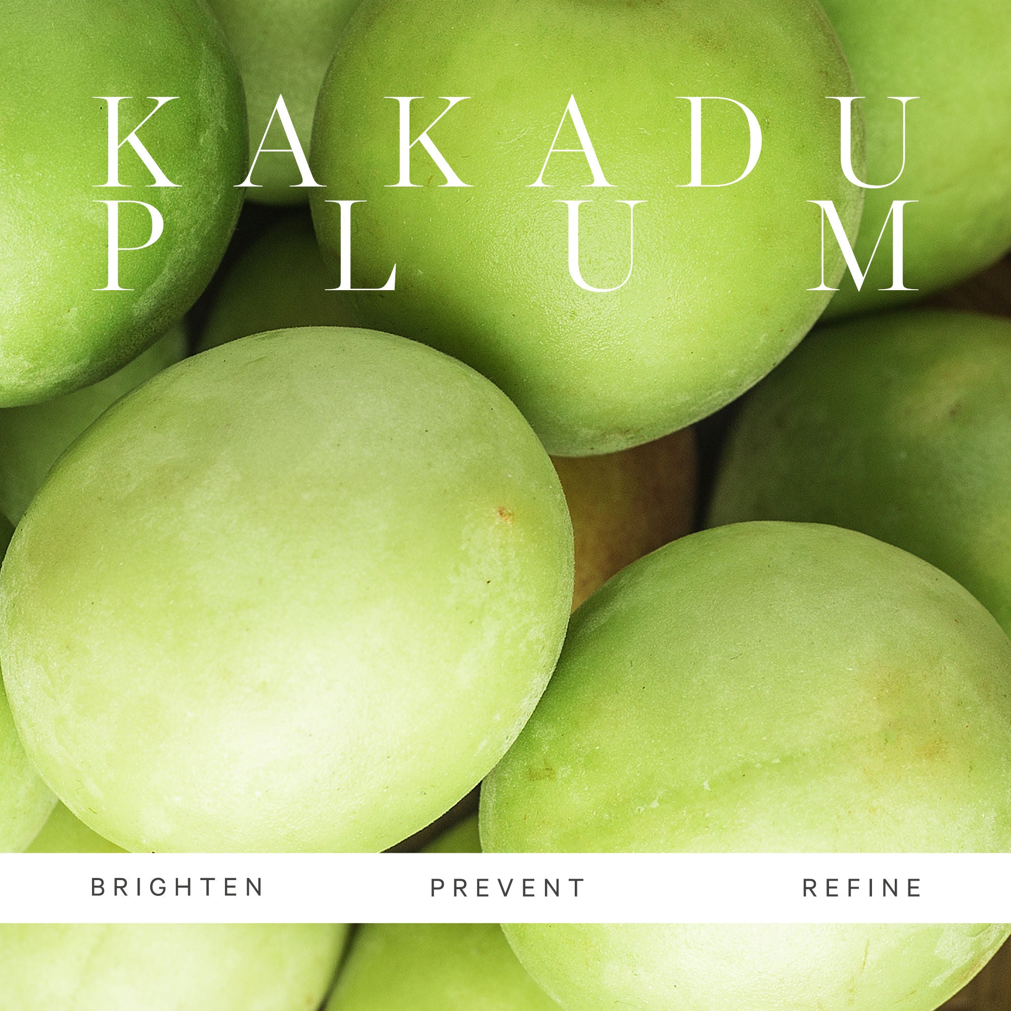 Kakadu Plum Vitamin C Serum Brightens Hydrates Protects With Hyaluronic Acid, Acerola