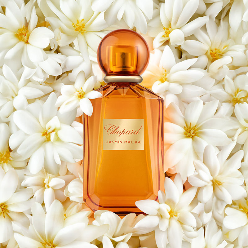 Jasmin Malika Eau De Parfum