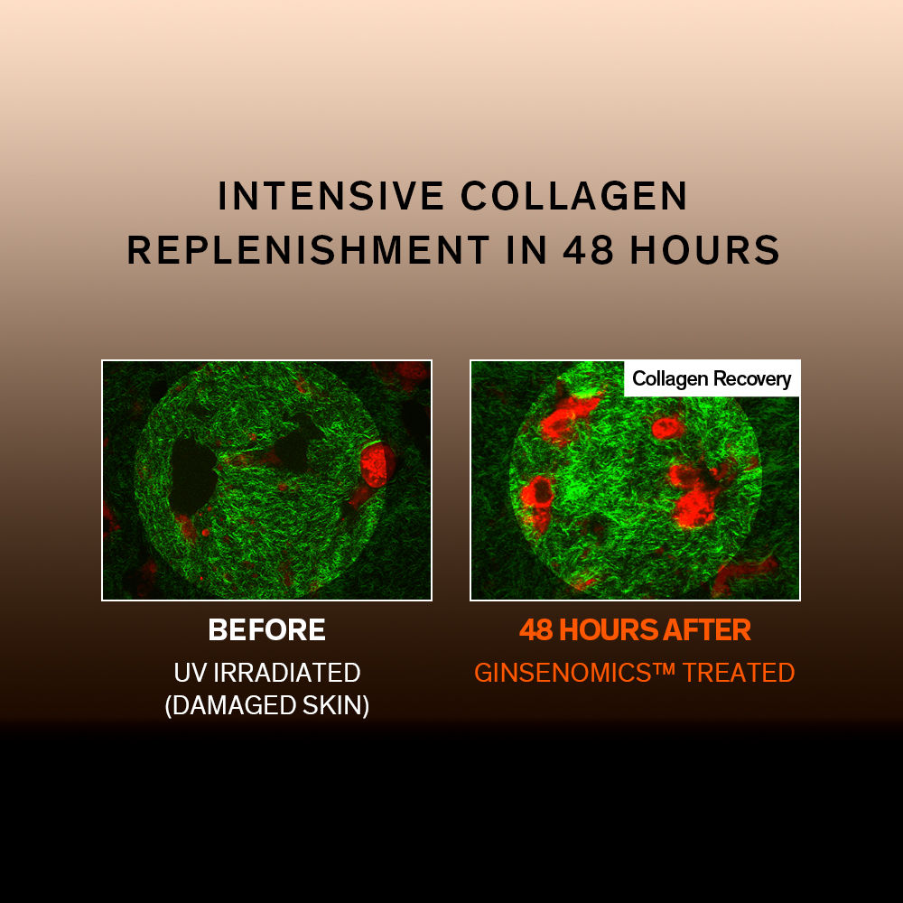 Concentrated Ginseng Rejuvenating Eye Cream