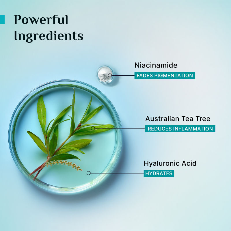 Tea Tree Skin Purifying & Clearing Mattifying Toner