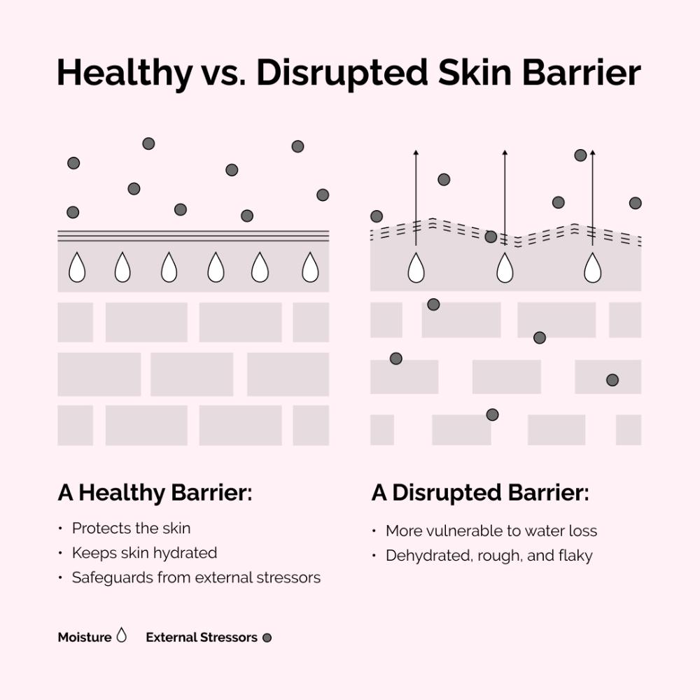 Soothing & Barrier Support Serum