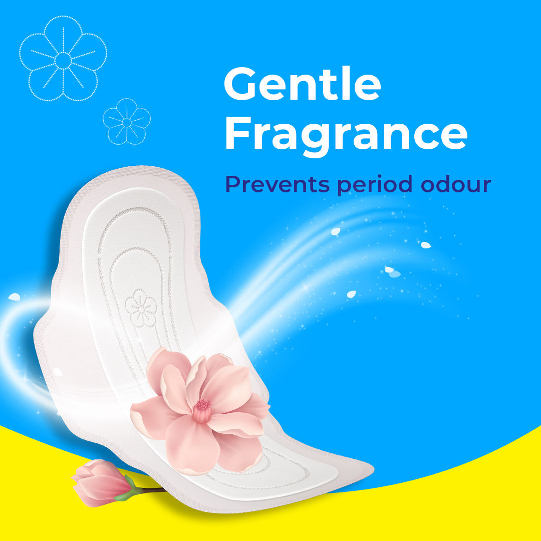 Dry Feel Sanitary Pads For Women With Leakage Protection And Quick Absorbption