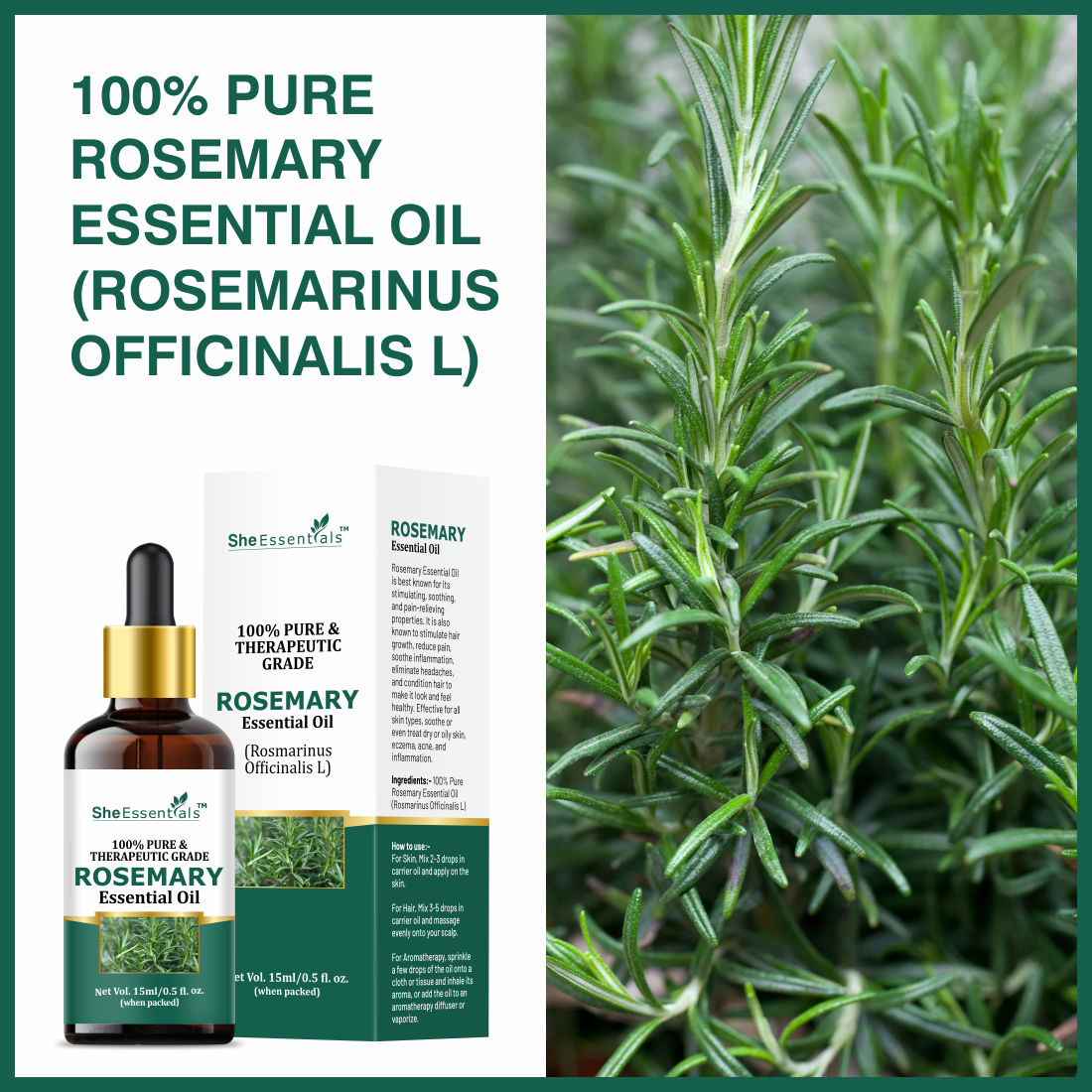 Rosemary Essential Oil For Hair Growth & Longer Hair - 100% Pure & Natural