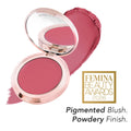 Velvet Dream Multi-Use Blush
