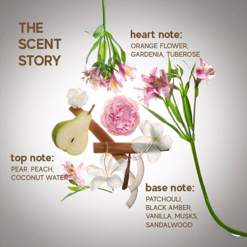 Surya Hair & Body Perfume Mist - Sun