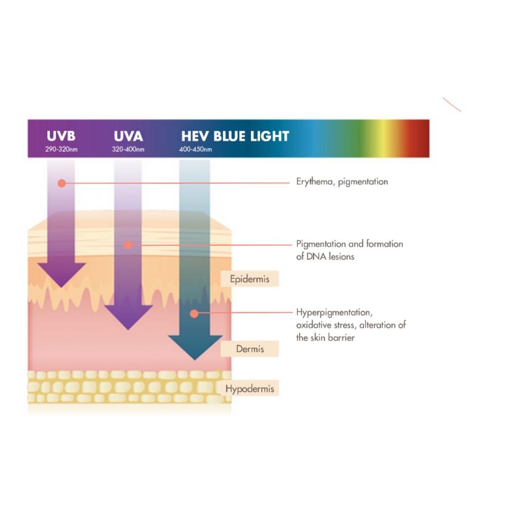 Very High Protection Fluid With SPF 50+
