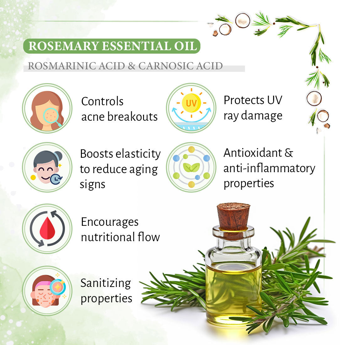 Rosemary Lavender Coconut Body Wash