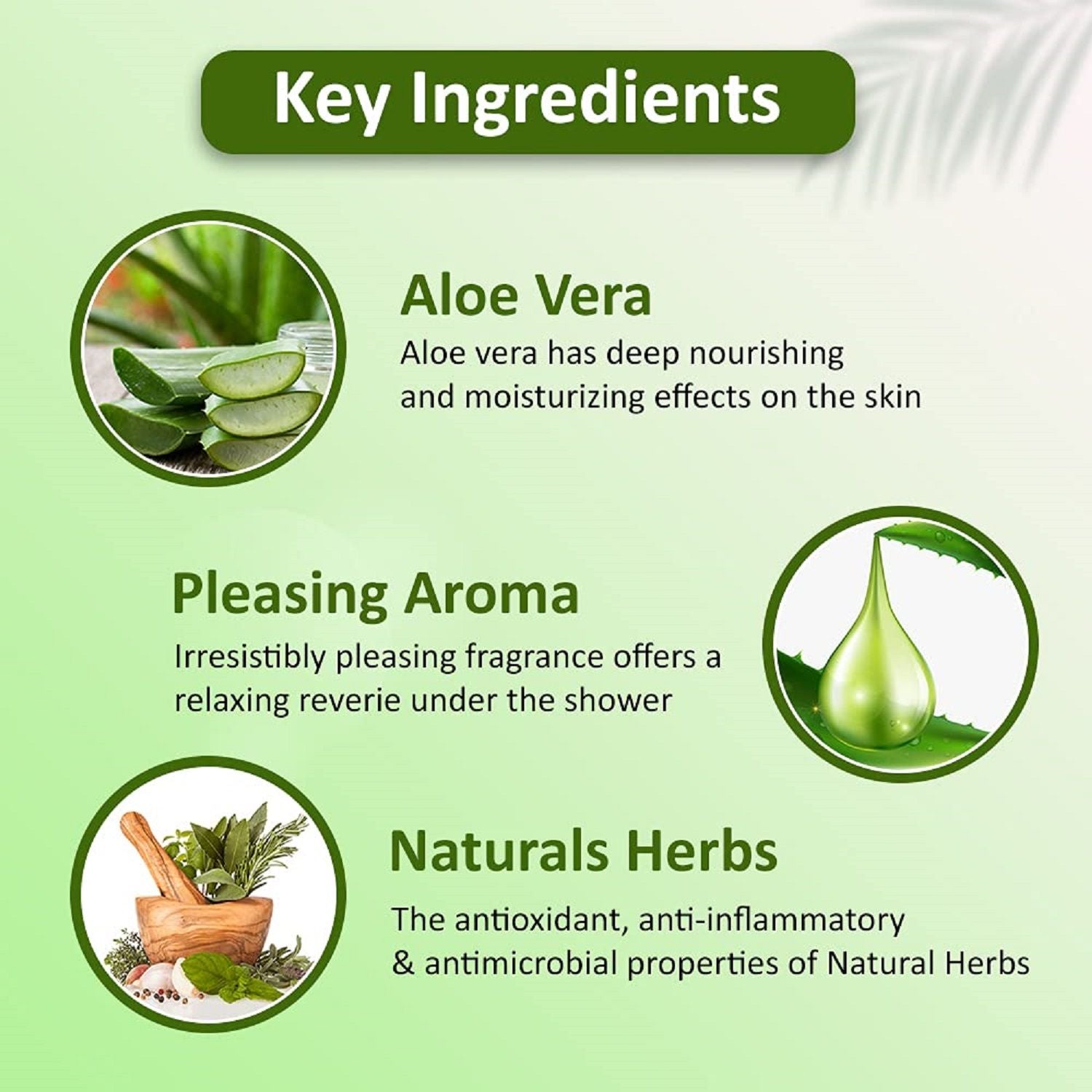 Aloe Vera Body Wash - Skin Friendly Ph, Gentle Cleansing, Soft Nourshing Body Wash