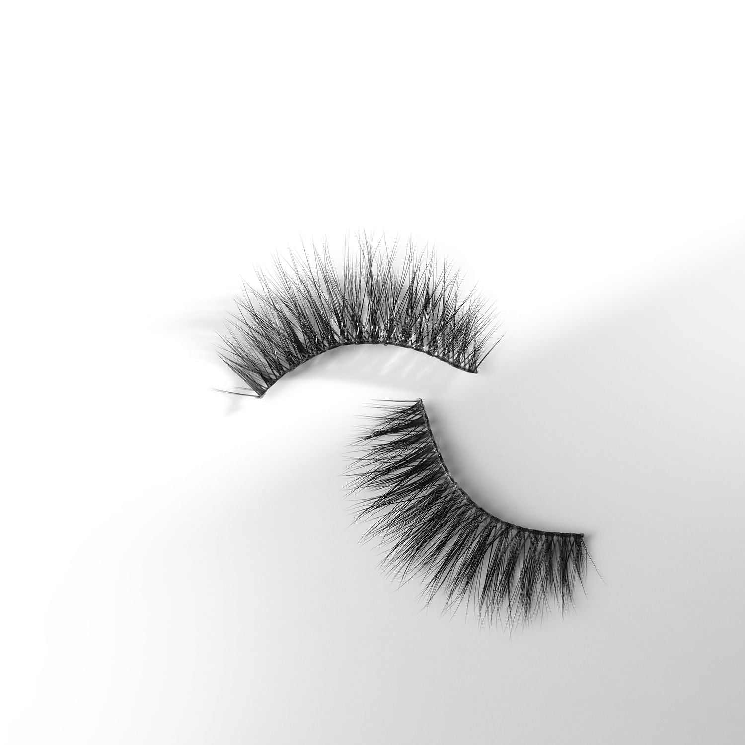 Silk Lash