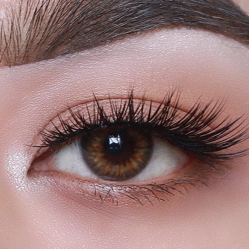 Spanish 1Day Coloured Contact Lenses - Brown - 0.00 (5 Pairs)