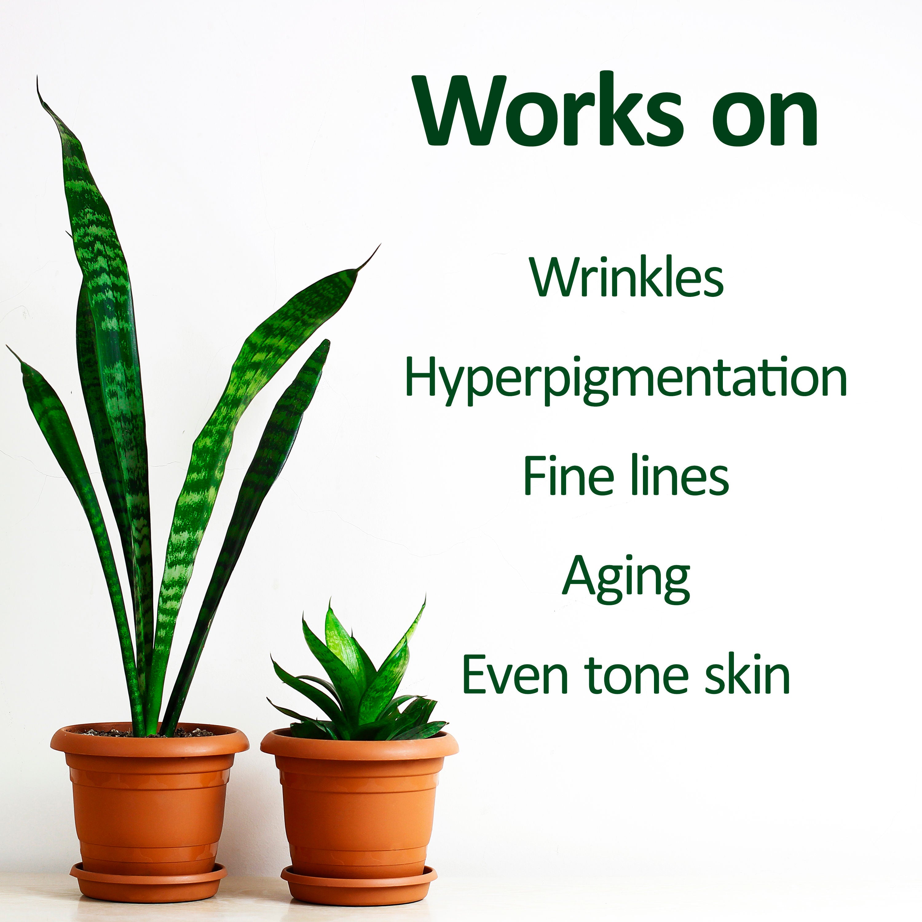 Plant Based Retinol Face Serum - Anti-Aging Care, Smooth Texture, Radiant Glow