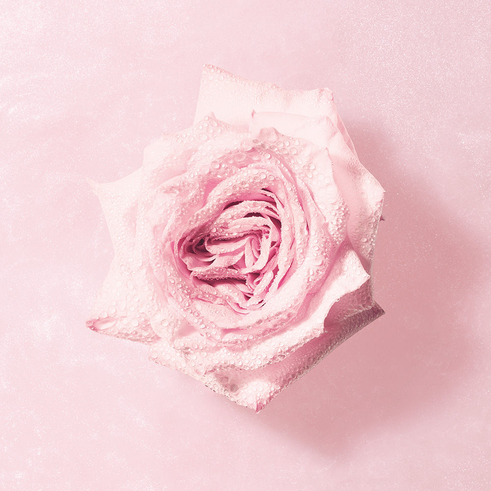ARMANI PRIVE Rose Milano Soie De Nacre Eau De Toilette