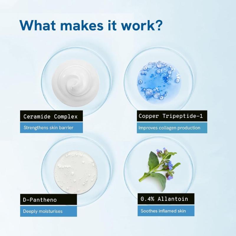 1% Peptide & Ceramide Moisturizer- Retains Moisture For 72H, Strengthens Skin Barrier