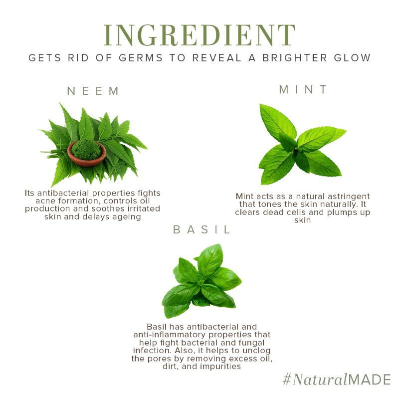 Neem Basil & Mint Face Pack Anti Acne & Anti Germ