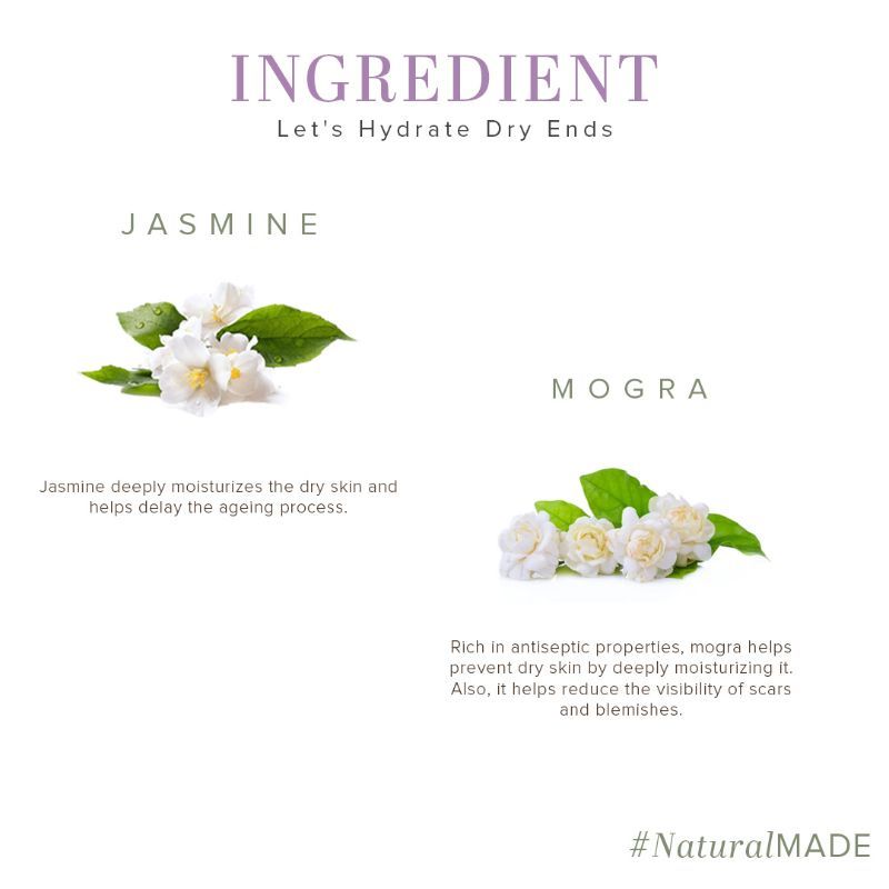Jasmine & Mogra Body Wash Removes Dirt & Grime SLS & Paraben Free