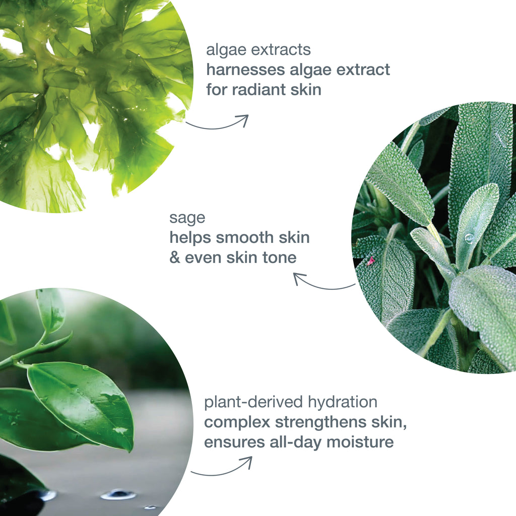 Prisma Protect SPF30 Face Moisturiser & Sunscreen With Sage & Green Tea