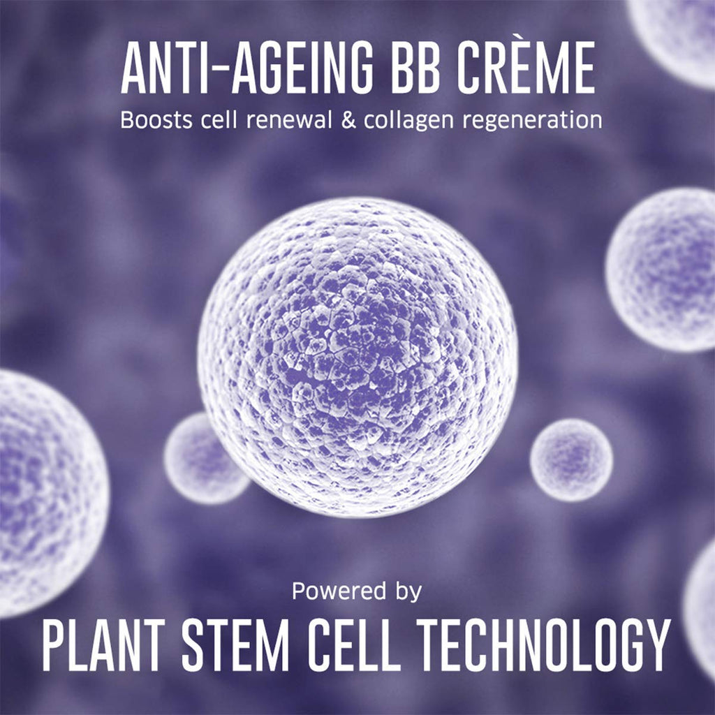 Age Defying Bb Creme, Corrects Pigmentation & Dark Spots