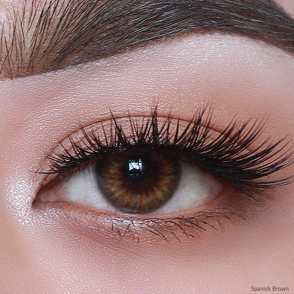 Spanish Smoky Mixed 1day Coloured Contact Lenses - Spanish Smoky ( 0.00 )