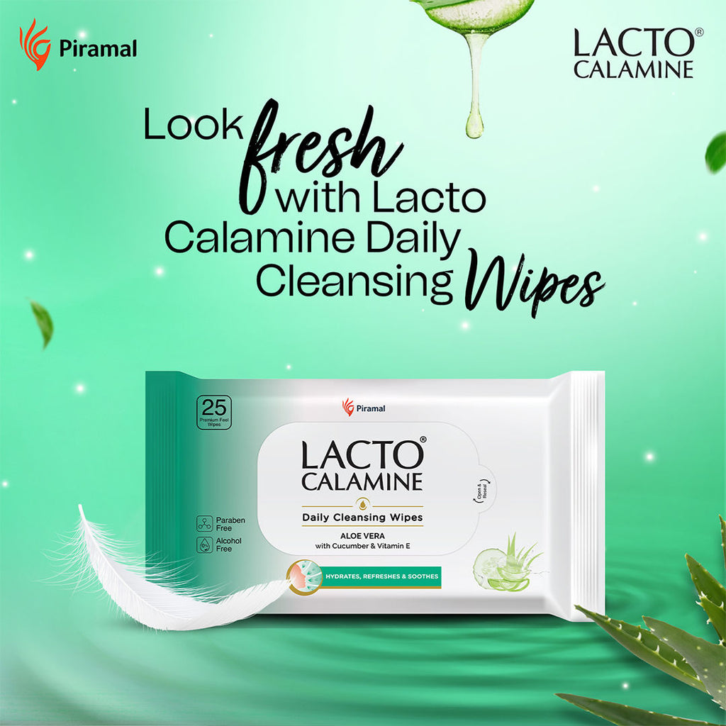 Daily Cleansing Face Wipes, Makeup Remover Wipes with Aloe Vera