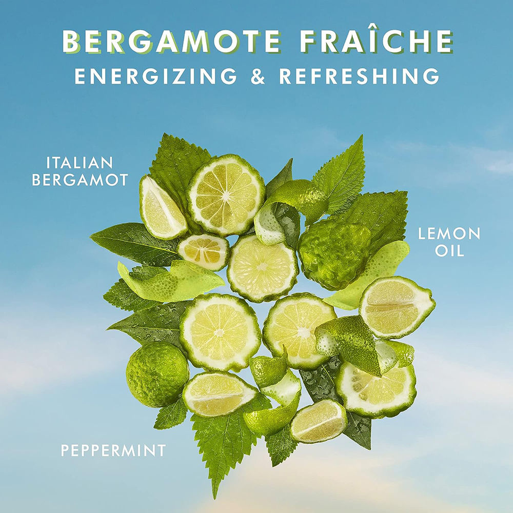 Hand Wash Bergamote Frache|Argan Oil, Hyaluronic Acid|Citrus-Fresh Hydration Soft Hands