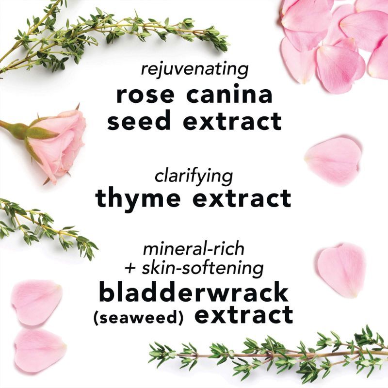 Face Mist With Aloe- Herbs & Rosewater